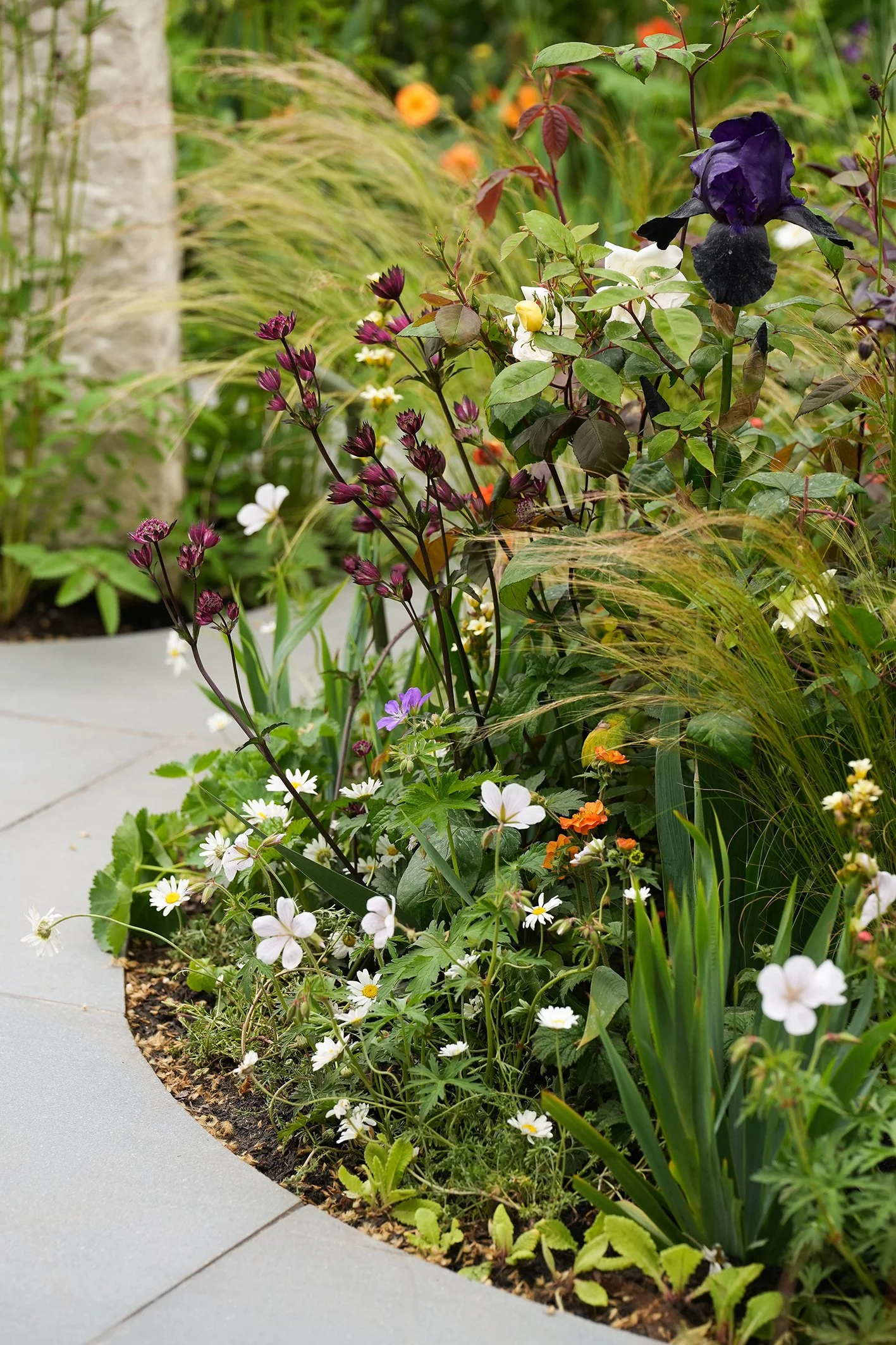 RHS Chelsea Flower Show Award Winning Town Garden — Langdale